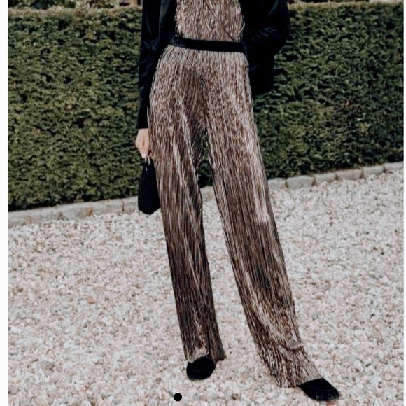 Long Tall Sally Plisse Metallic Wide 